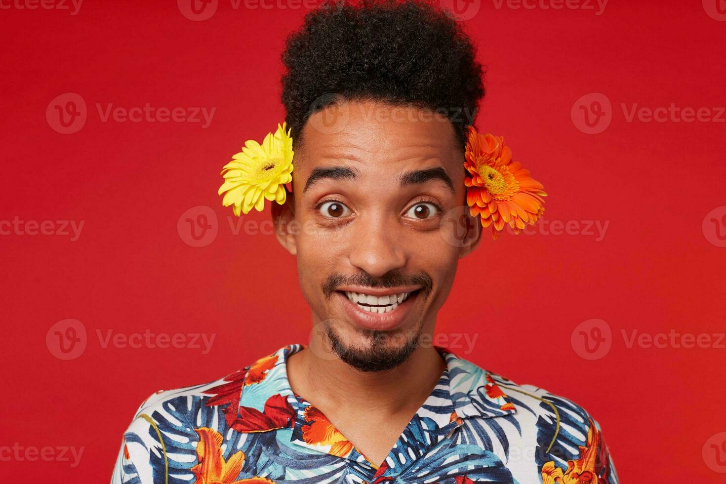 Portrait of positive young African American guy, wears in Hawaiian shirt, looks at the camera with happy expression, with two flowers behind the ears, stands over red background. photo