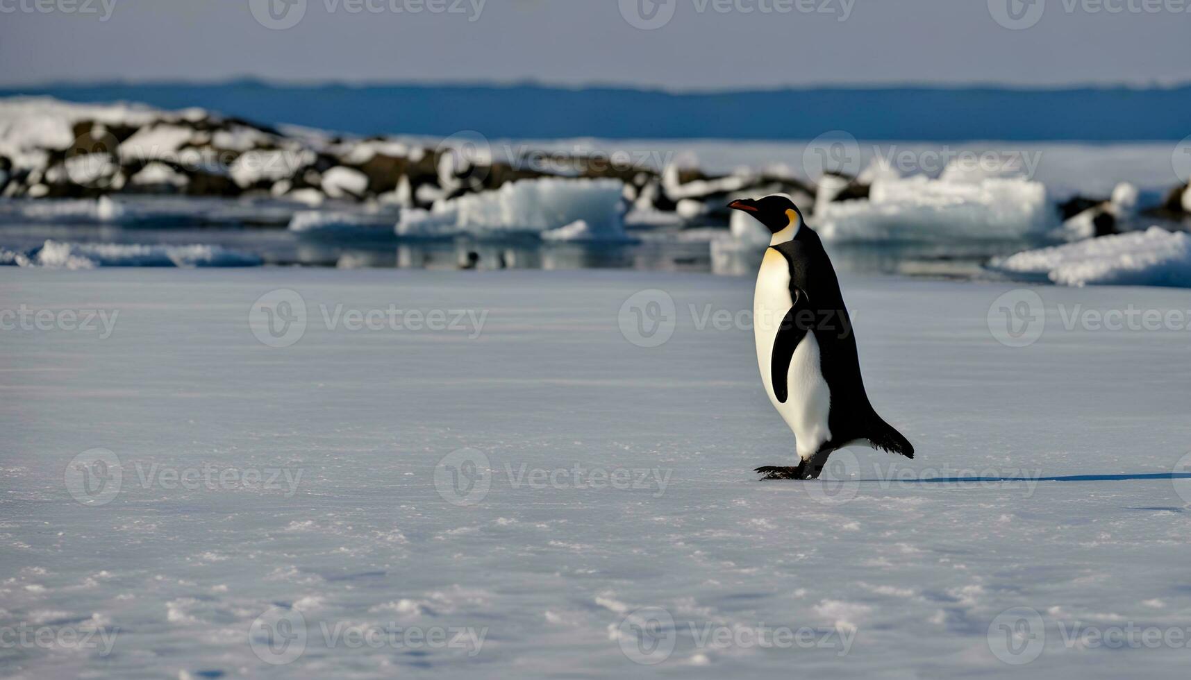 AI generated king penguin standing on the ice in the arctic photo