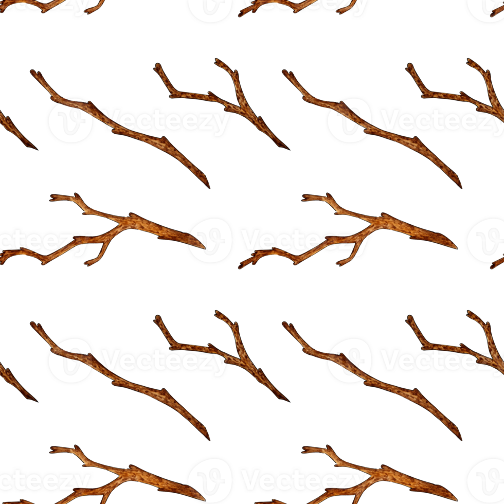 Watercolor illustration of a pattern of dry branches without leaves. Bare snags, dry branches. Agriculture, eco friendly, organic farm. For the design of design compositions on the theme of tourism, png