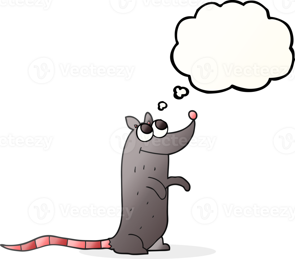 thought bubble cartoon rat png