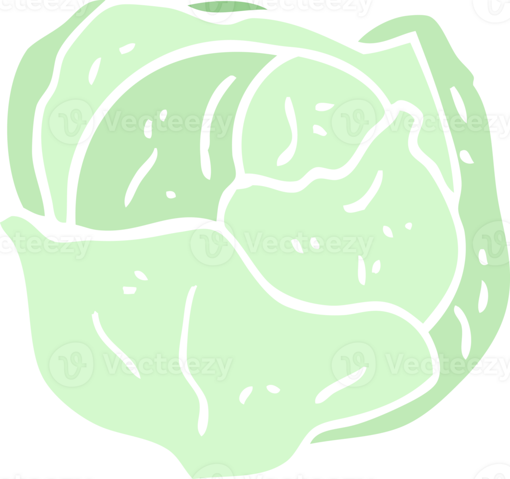 cartoon doodle organic lettuce png