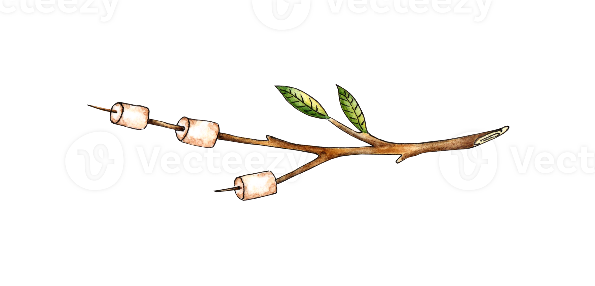 Watercolor illustration of roasted marshmallows on a stick. Outdoor