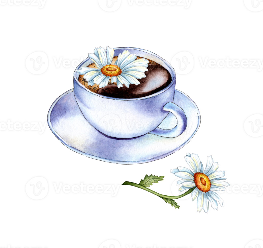 Watercolor illustration of a cup with golden liquid similar to tea, juice with white chamomile flowers and green leaves. Herbal chamomile tea - flower and cup. Botanical drawing isolated png