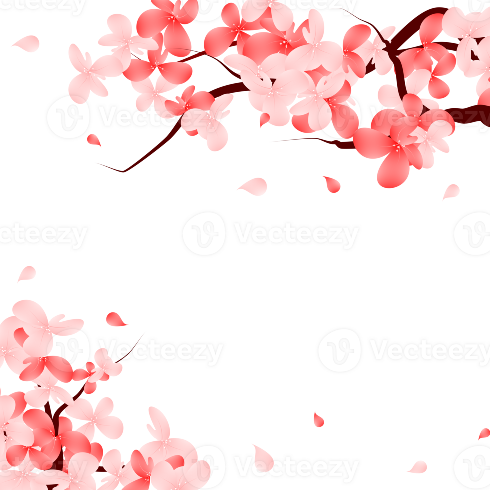 Pink Sakura Bloom Frame Border. Cherry Blossom Falling Petals Background. png