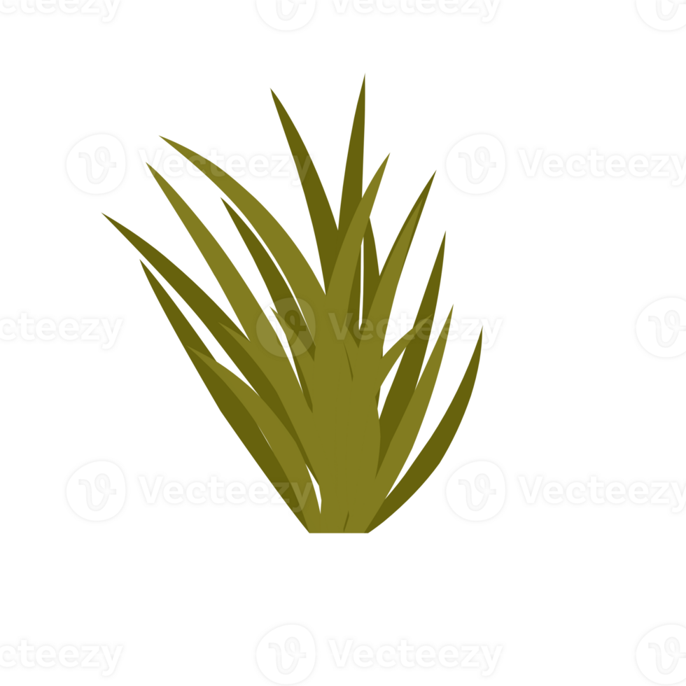 Green Grasses For Decorations png