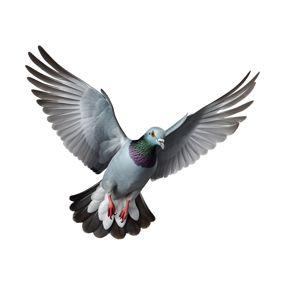 AI generated Flying pigeon isolated on transparent background png