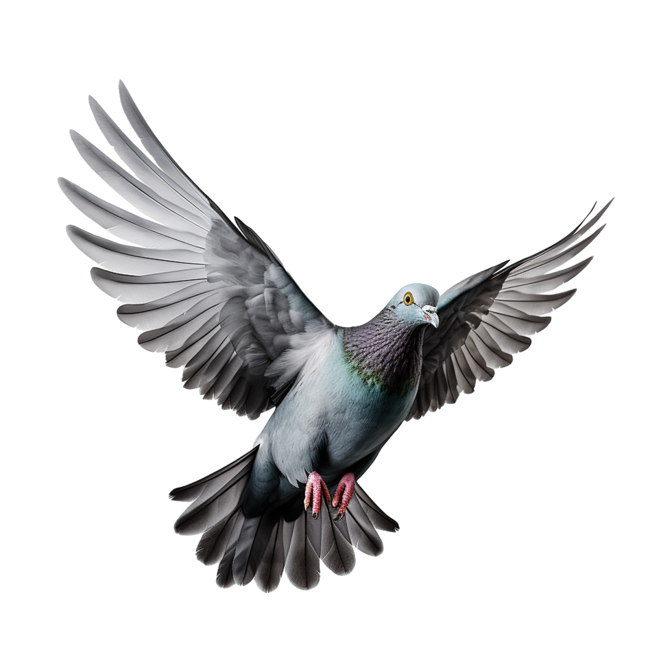 AI generated Flying pigeon isolated on transparent background png
