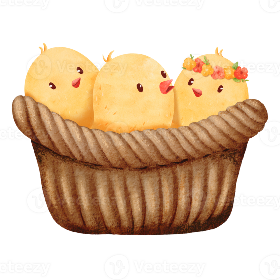Brown woven basket with adorable little chicks inside. Watercolor illustration with the charm of newborn chicks in a rustic setting. for conveying a heartwarming farm atmosphere. for cards, and prints png