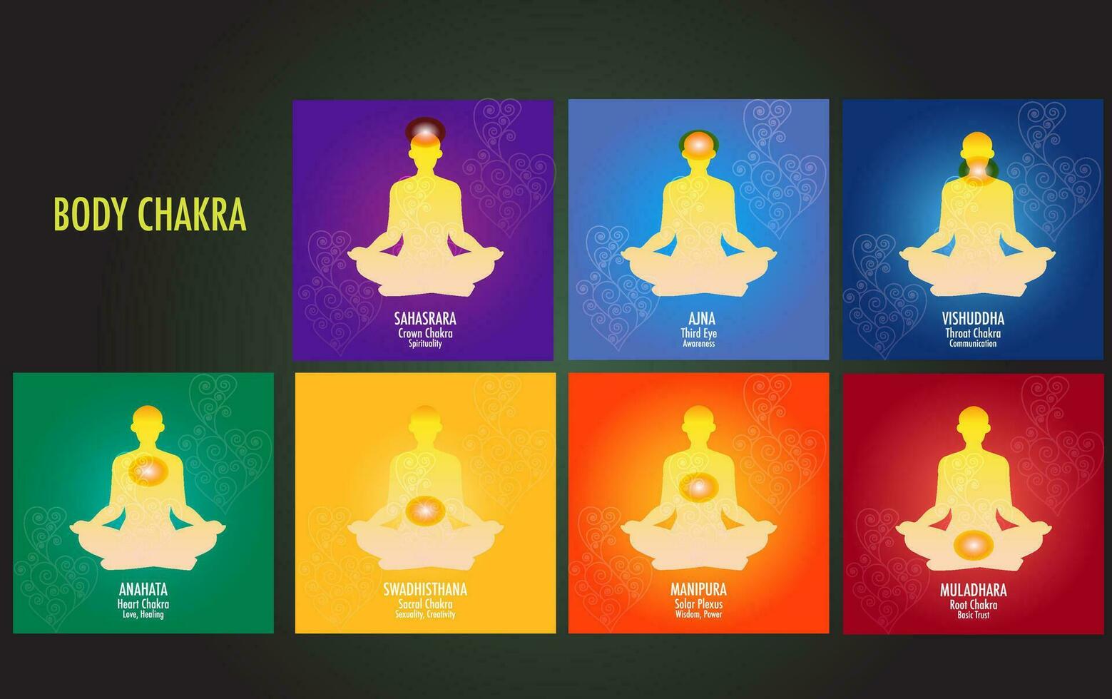 el Siete chakras son pensamiento de como el principal energía puntos en tu cuerpo, cuales correr abajo el columna vertebral. vector