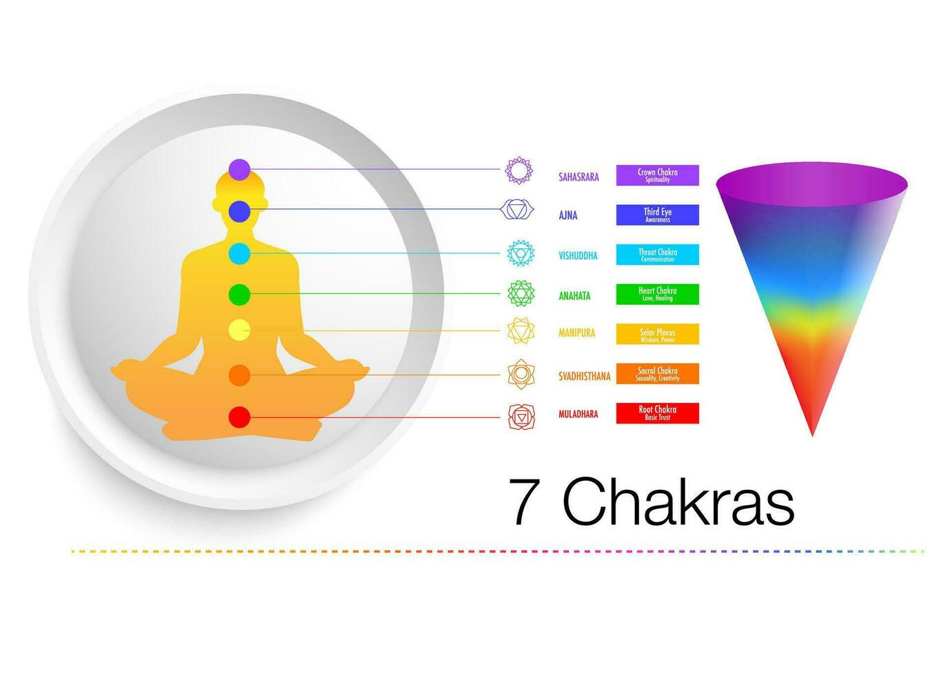 The seven chakras are thought of as the main energy points in your body, which run down the spine. vector