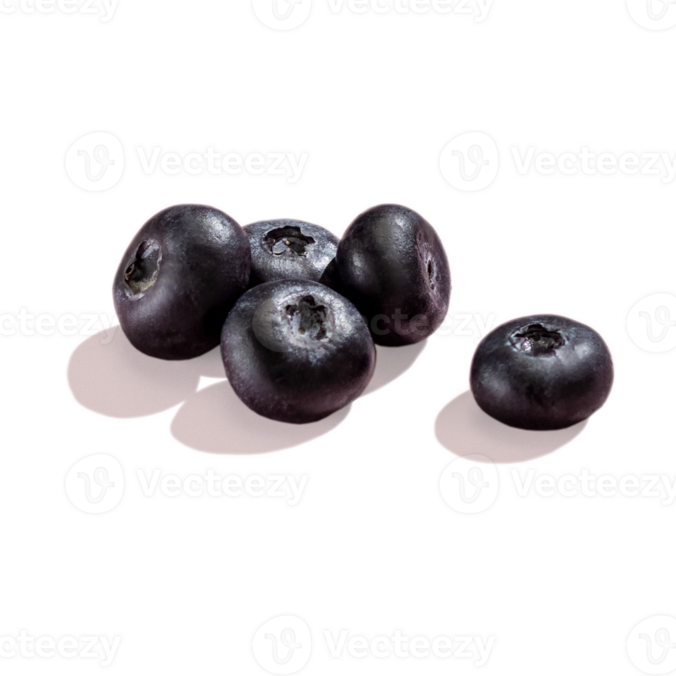 Group of 5 Blueberries berry with hard shadows isolated on transparent png background
