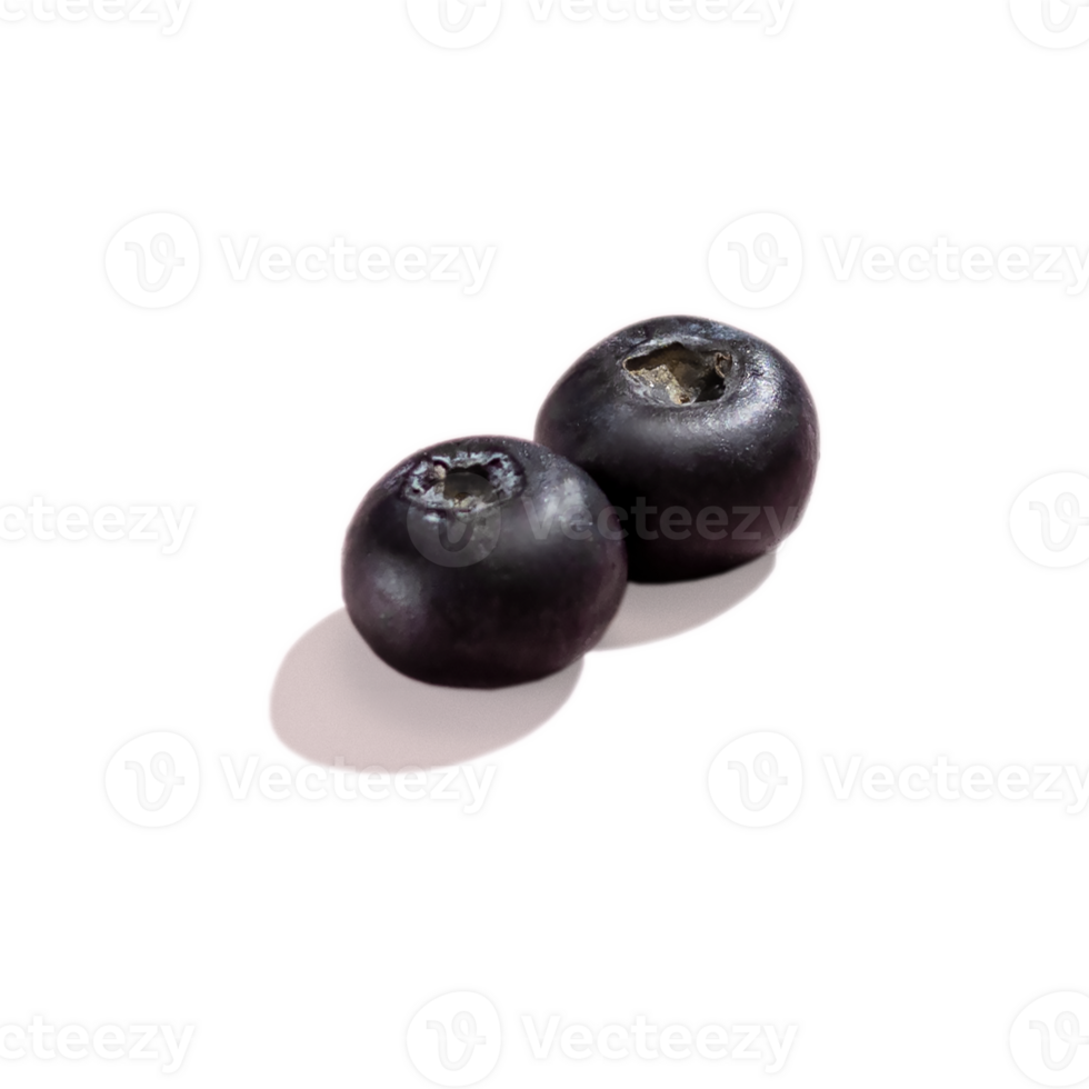 Two Blueberries berry with hard shadows isolated on on transparent png background
