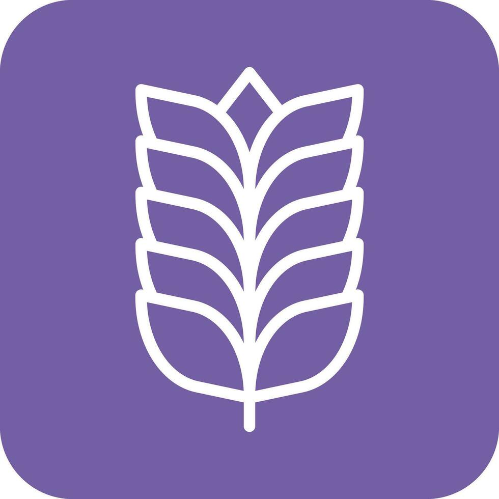 Wheat Vector Icon