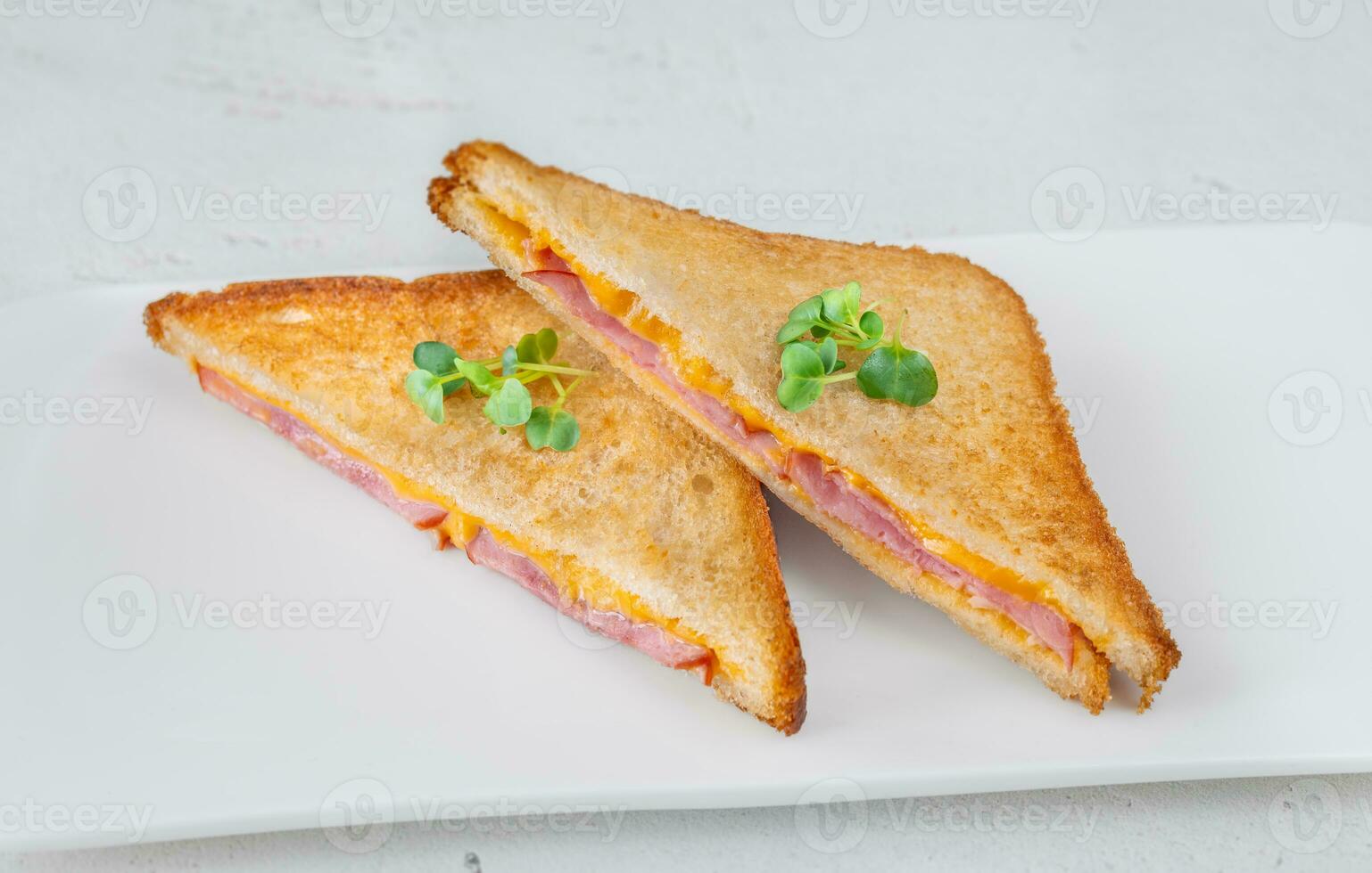 Ham and cheese sandwich photo