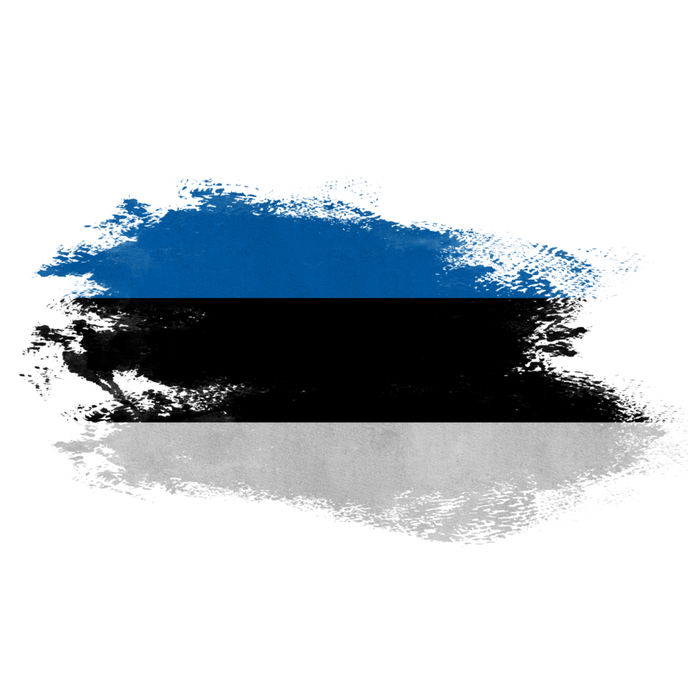 Estonia Brush Flag png