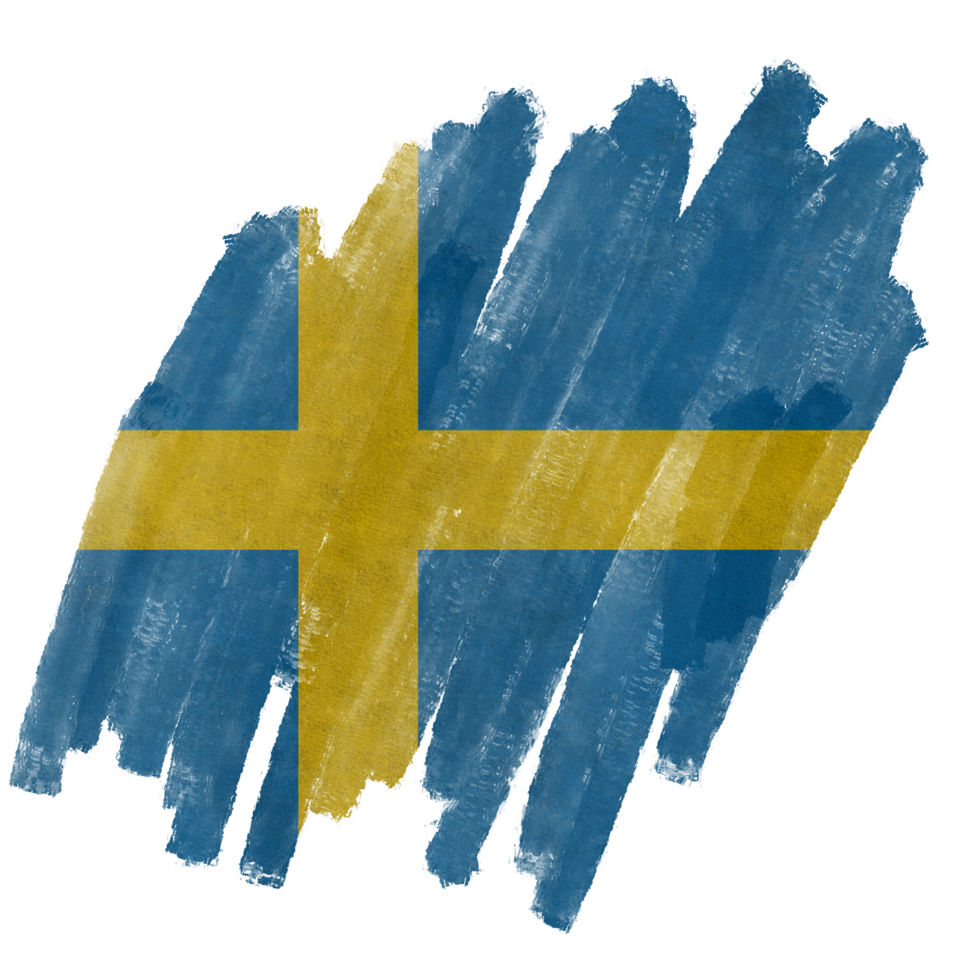 Sweden Brush Flag png
