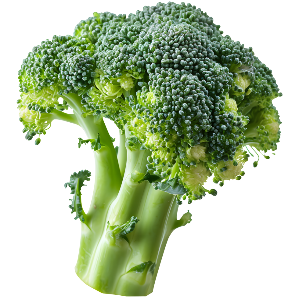 AI generated Fresh broccoli isolated png