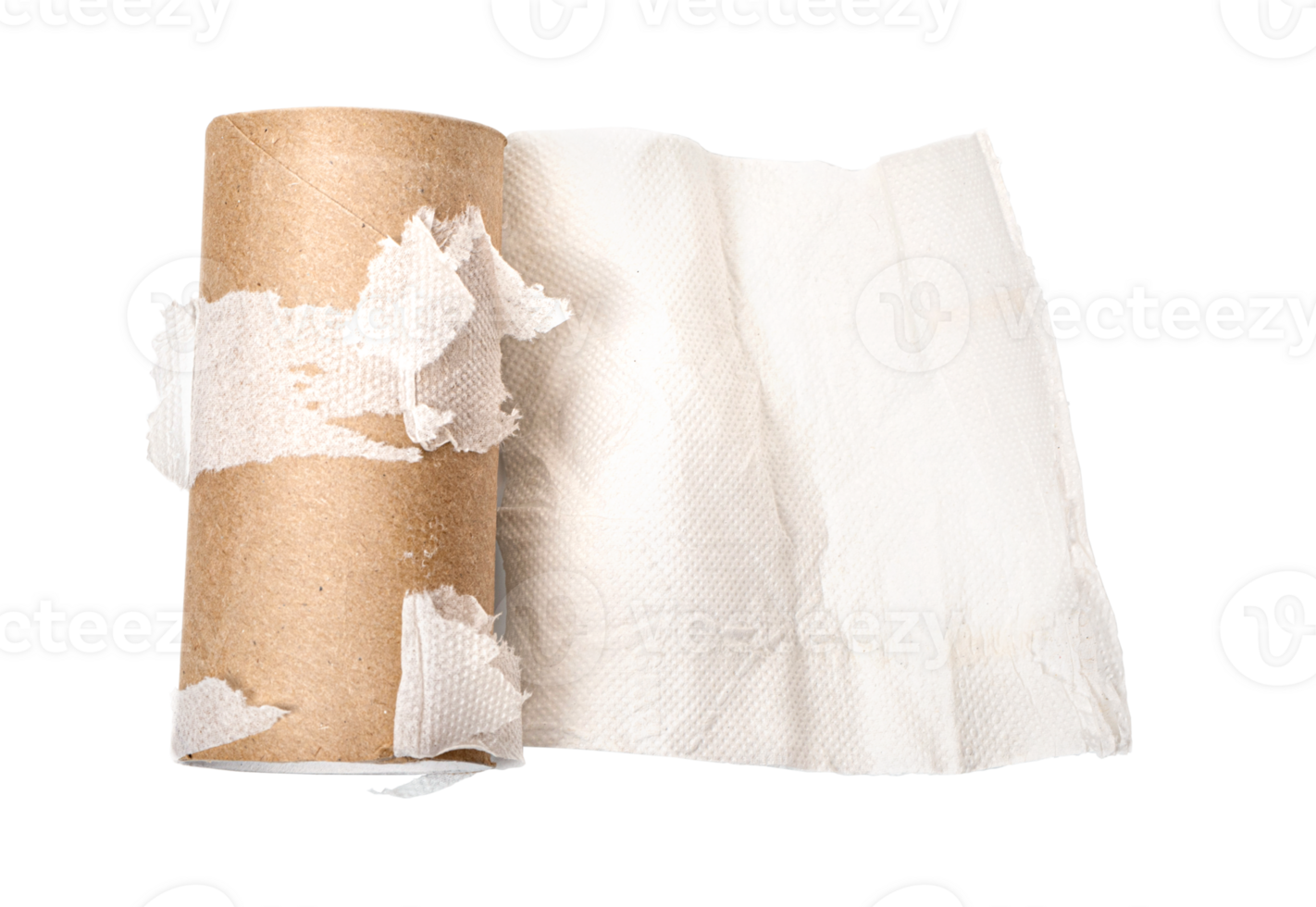 Empty Towel Paper Roll png