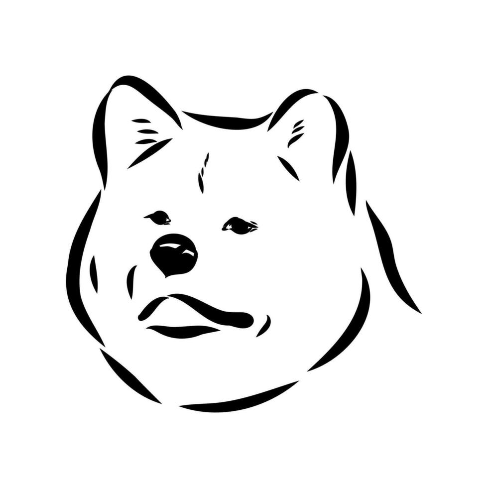 boceto vectorial de perro akita inu vector