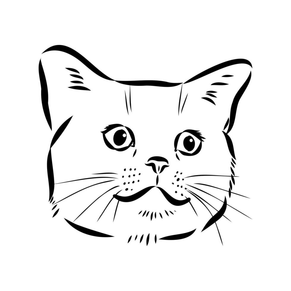 bosquejo del vector del gato