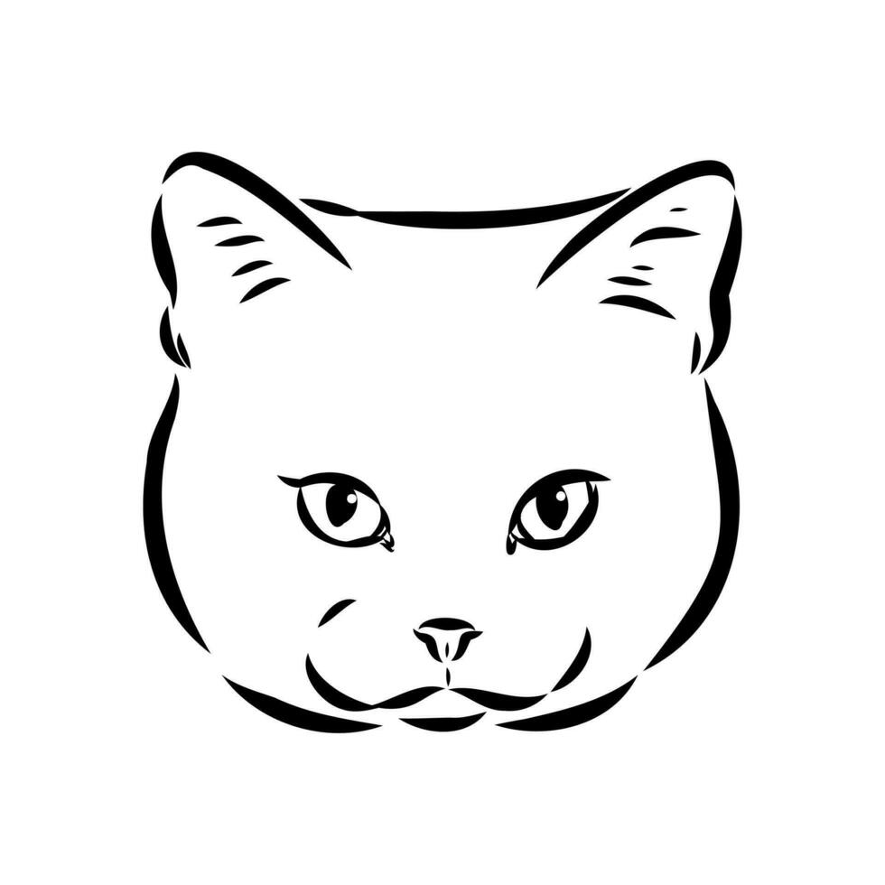 bosquejo del vector del gato