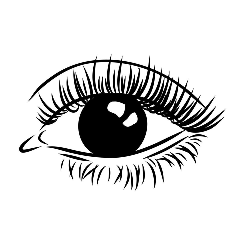 beauty's eyes vector sketch