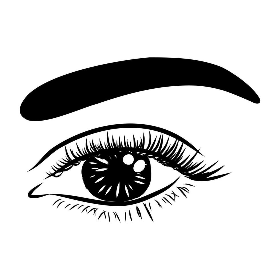 beauty's eyes vector sketch