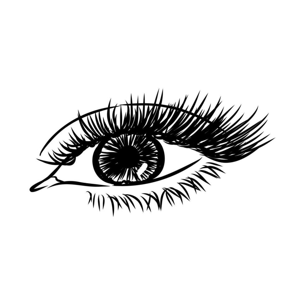 beauty's eyes vector sketch