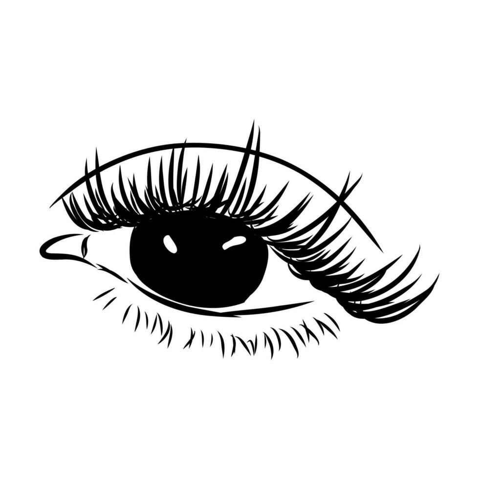 beauty's eyes vector sketch