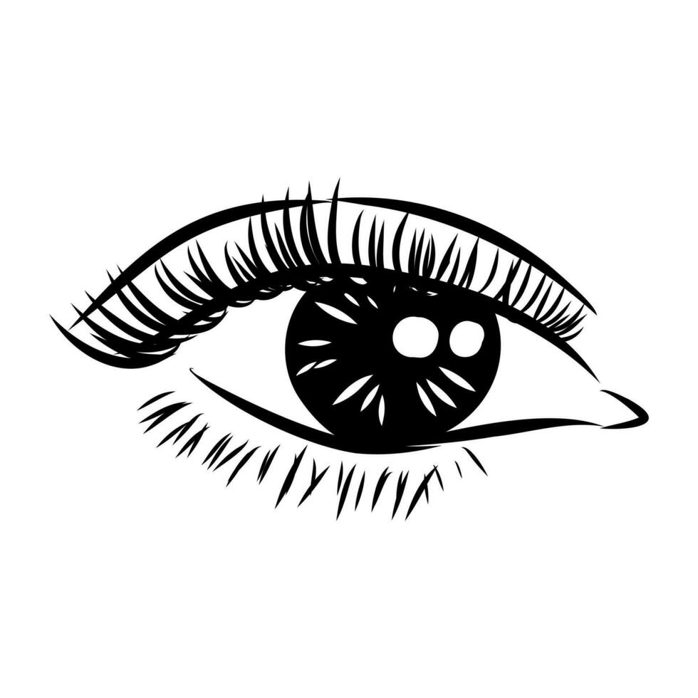 beauty's eyes vector sketch