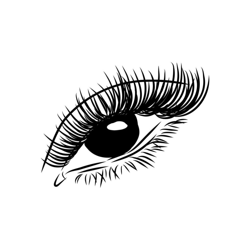 beauty's eyes vector sketch