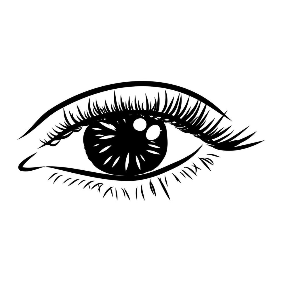 beauty's eyes vector sketch