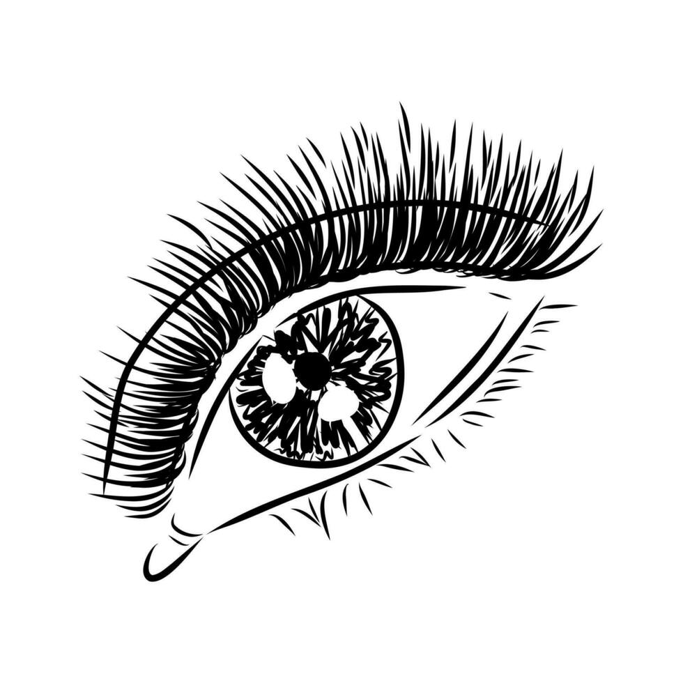 beauty's eyes vector sketch