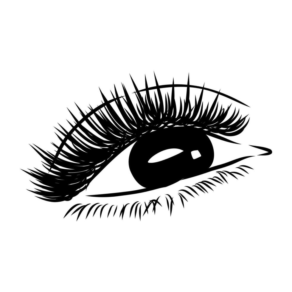 beauty's eyes vector sketch