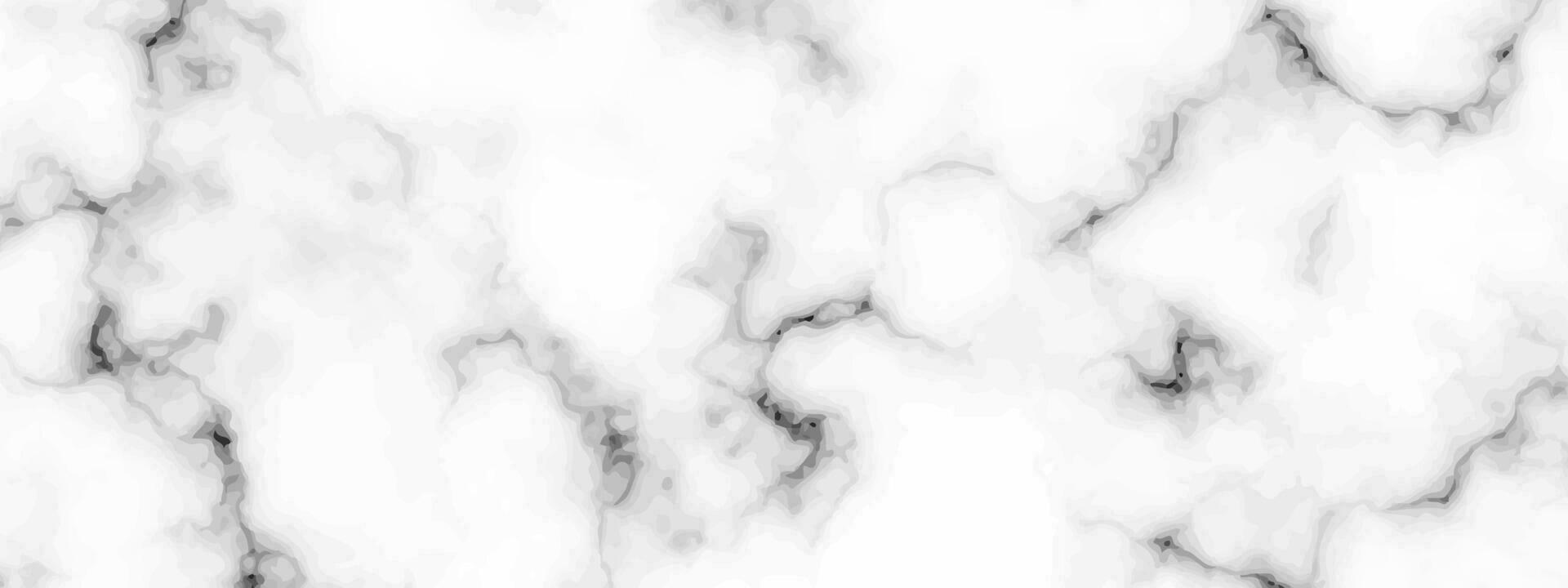 White marble texture background vector