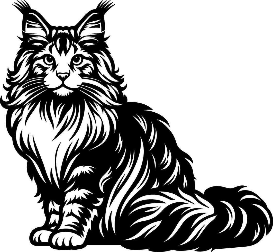 Maine Coon Cat vector