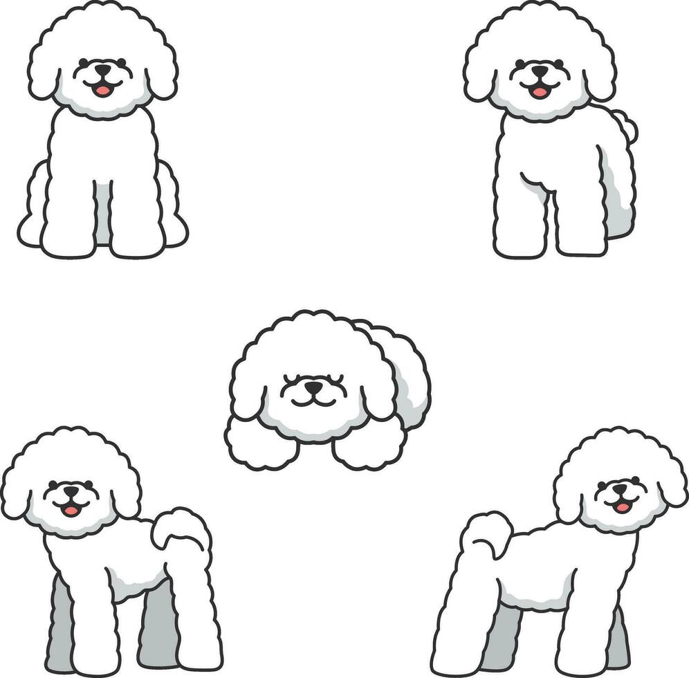 Set of cartoon bichon dogs. Vector illustration isolated on white background.