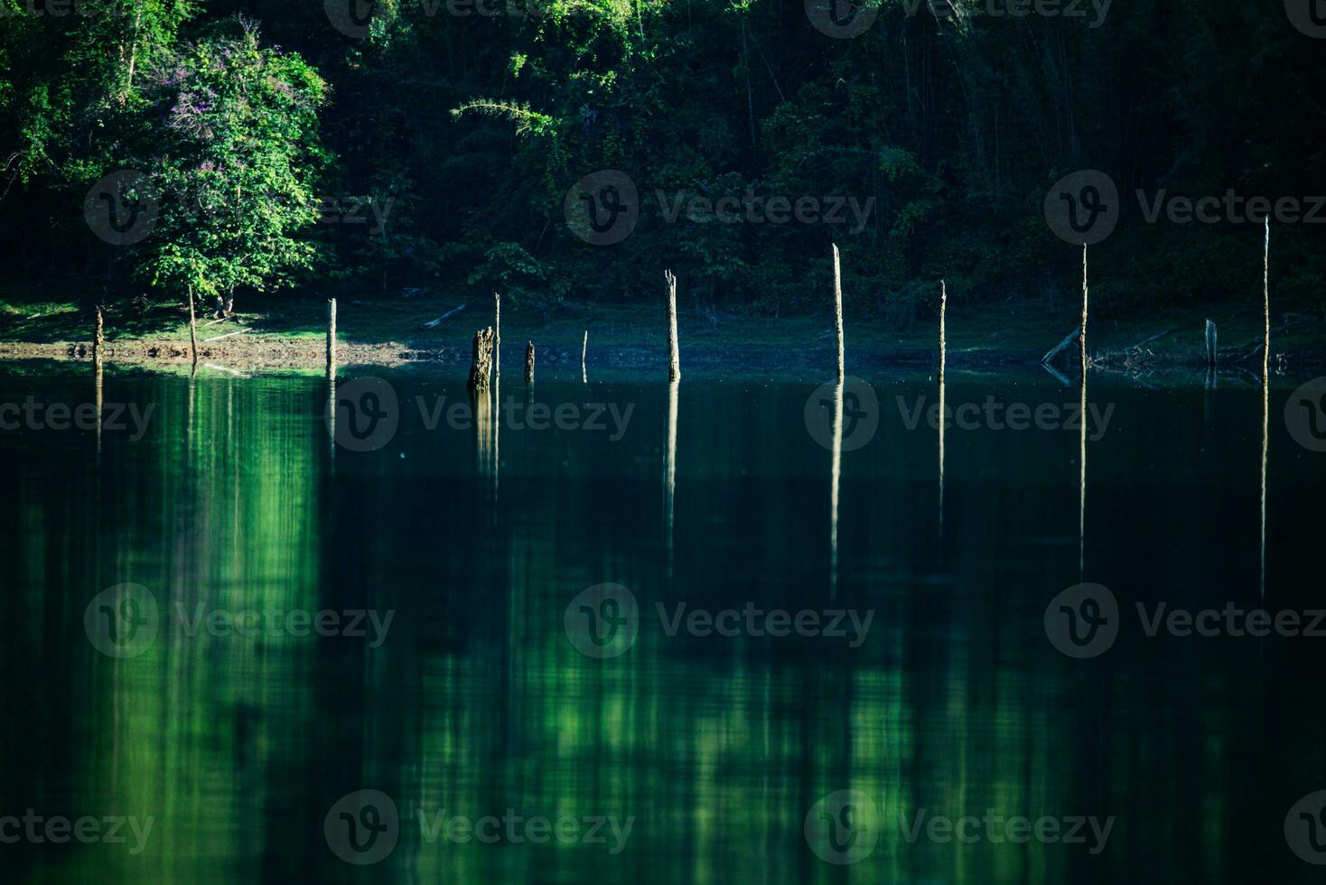 Khao Sok National Park, Surat Thani, Landscape Mountains with longtail boat for travelers, Cheow Lan lake, Ratchaphapha dam, Travel nature in Thailand, Asia summer vacation travel trip. photo