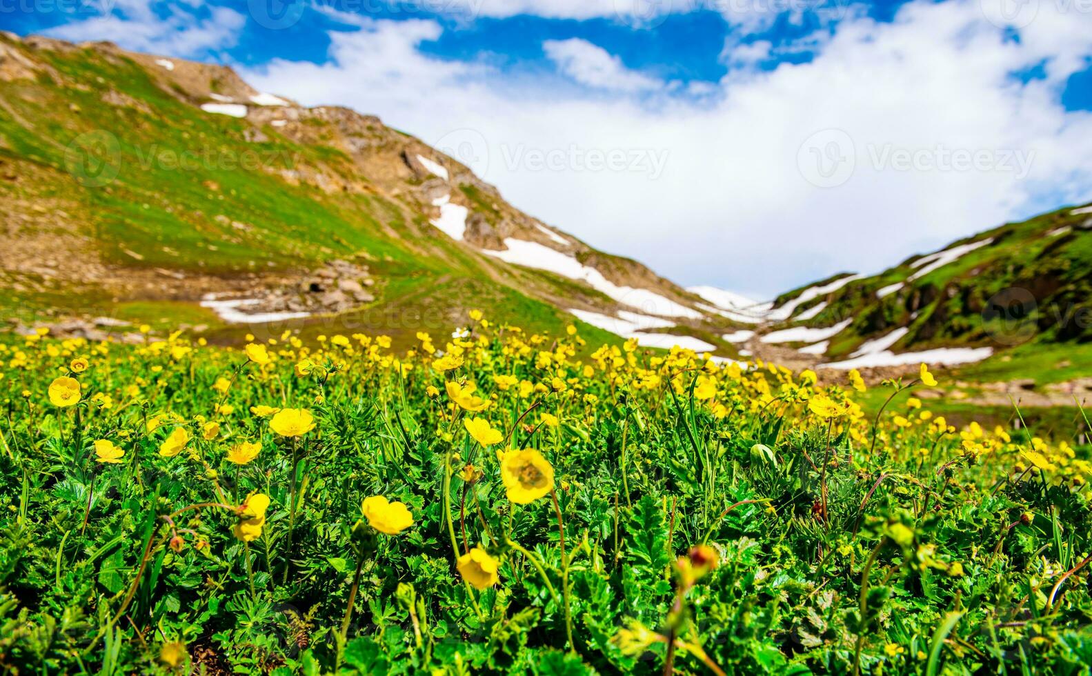 Landscape in the mountains. Panoramic view from the top of Sonmarg, Kashmir valley in the Himalayan region. meadows, alpine trees, wildflowers and snow on mountain in india. Concept travel nature. photo