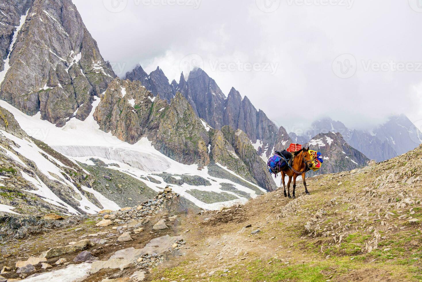 Landscape in the mountains. Panoramic view from the top of Sonmarg, Kashmir valley in the Himalayan region. meadows, alpine trees, wildflowers and snow on mountain in india. Concept travel nature. photo