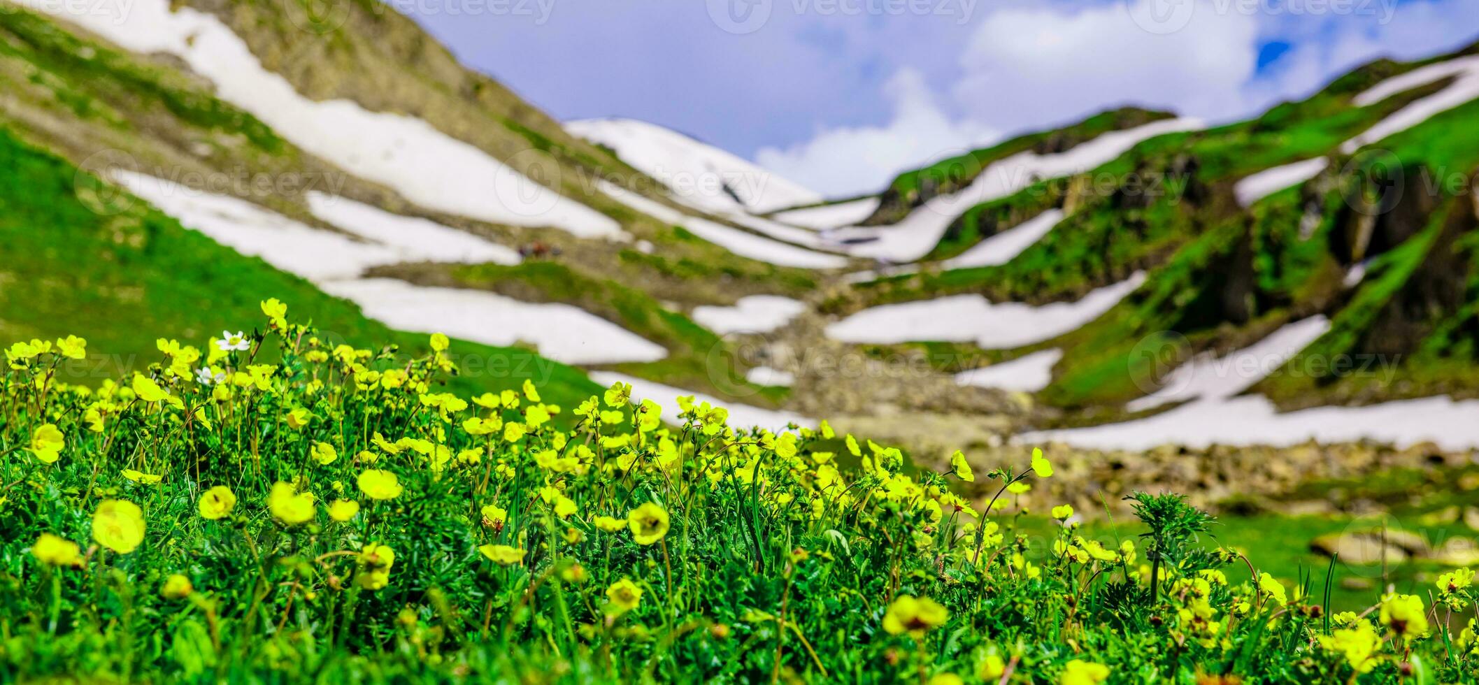 Landscape in the mountains. Panoramic view from the top of Sonmarg, Kashmir valley in the Himalayan region. meadows, alpine trees, wildflowers and snow on mountain in india. Concept travel nature. photo