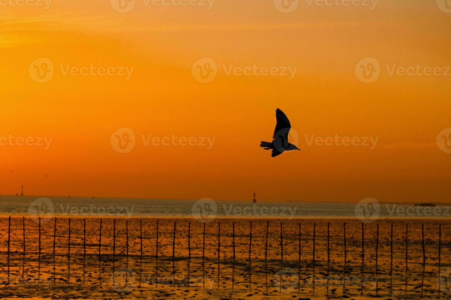 Sunset sky on twilight in the sea Evening with Orange Gold Sunset Nature Sky Background, Horizon Golden Sky, beautiful clouds, Dusk sky photo