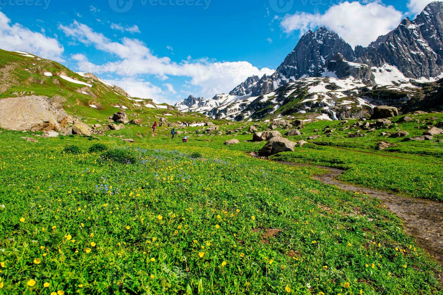 Landscape in the mountains. Panoramic view from the top of Sonmarg, Kashmir valley in the Himalayan region. meadows, alpine trees, wildflowers and snow on mountain in india. Concept travel nature. photo