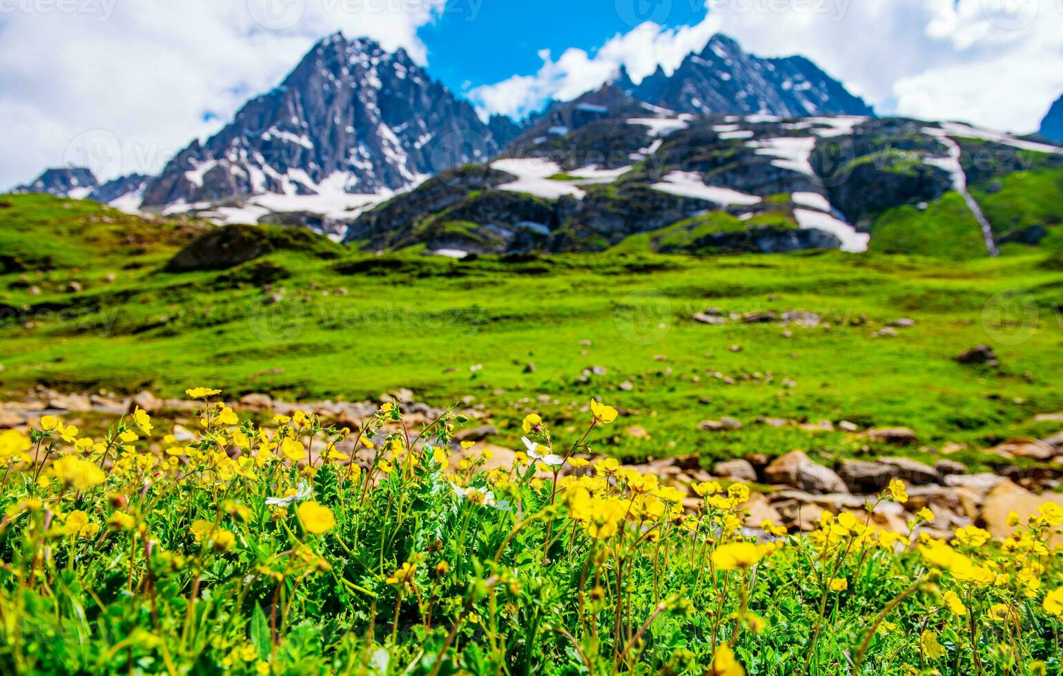 Landscape in the mountains. Panoramic view from the top of Sonmarg, Kashmir valley in the Himalayan region. meadows, alpine trees, wildflowers and snow on mountain in india. Concept travel nature. photo