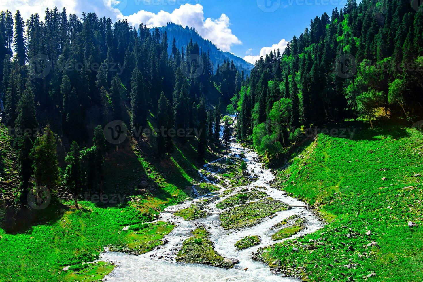 Landscape in the mountains. Panoramic view from the top of Sonmarg, Kashmir valley in the Himalayan region. meadows, alpine trees, wildflowers and snow on mountain in india. Concept travel nature. photo