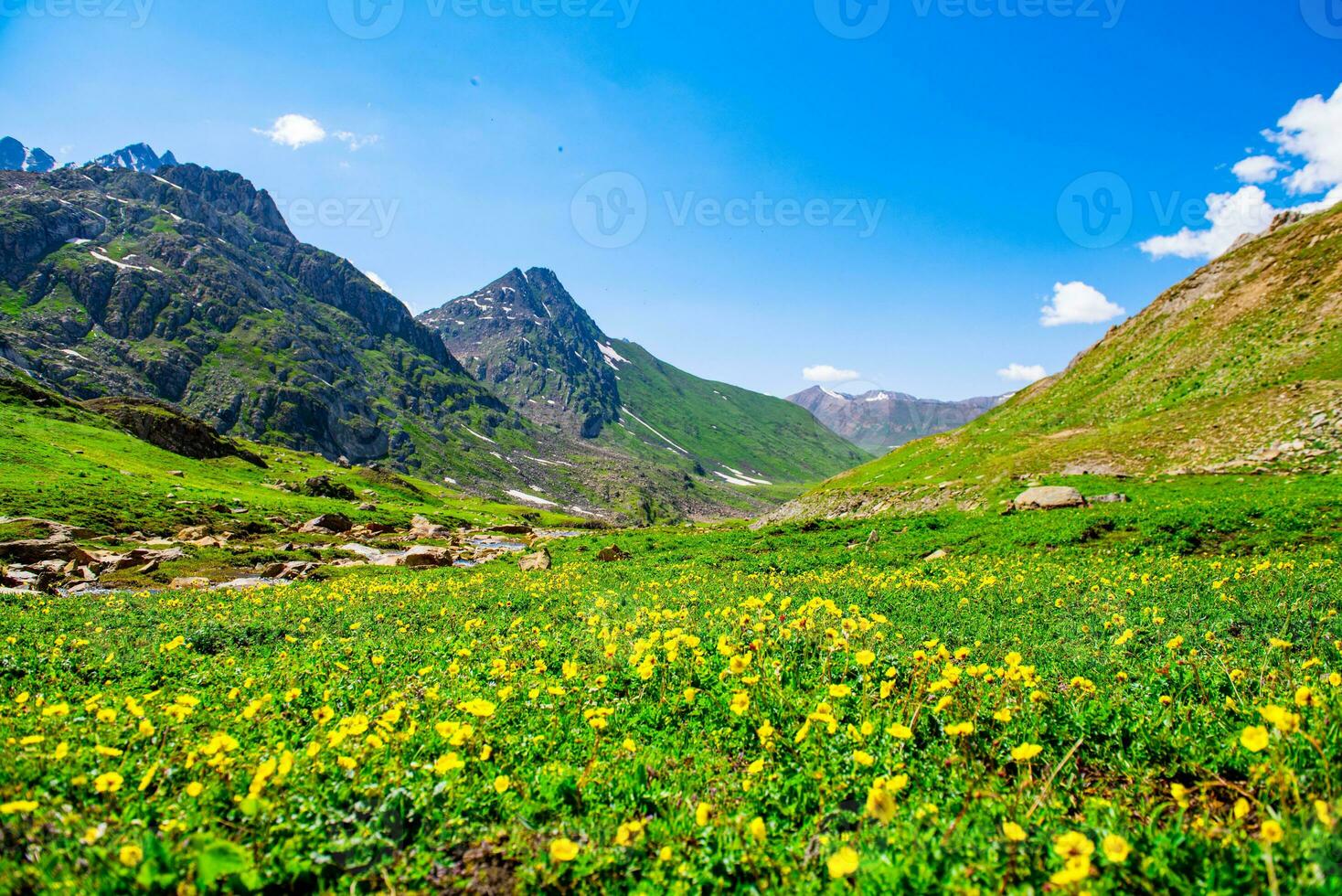 Landscape in the mountains. Panoramic view from the top of Sonmarg, Kashmir valley in the Himalayan region. meadows, alpine trees, wildflowers and snow on mountain in india. Concept travel nature. photo