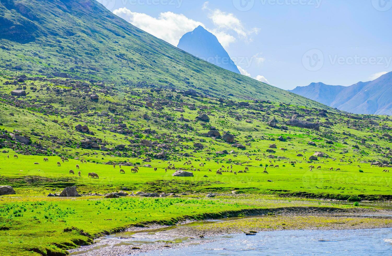 Landscape in the mountains. Panoramic view from the top of Sonmarg, Kashmir valley in the Himalayan region. meadows, alpine trees, wildflowers and snow on mountain in india. Concept travel nature. photo