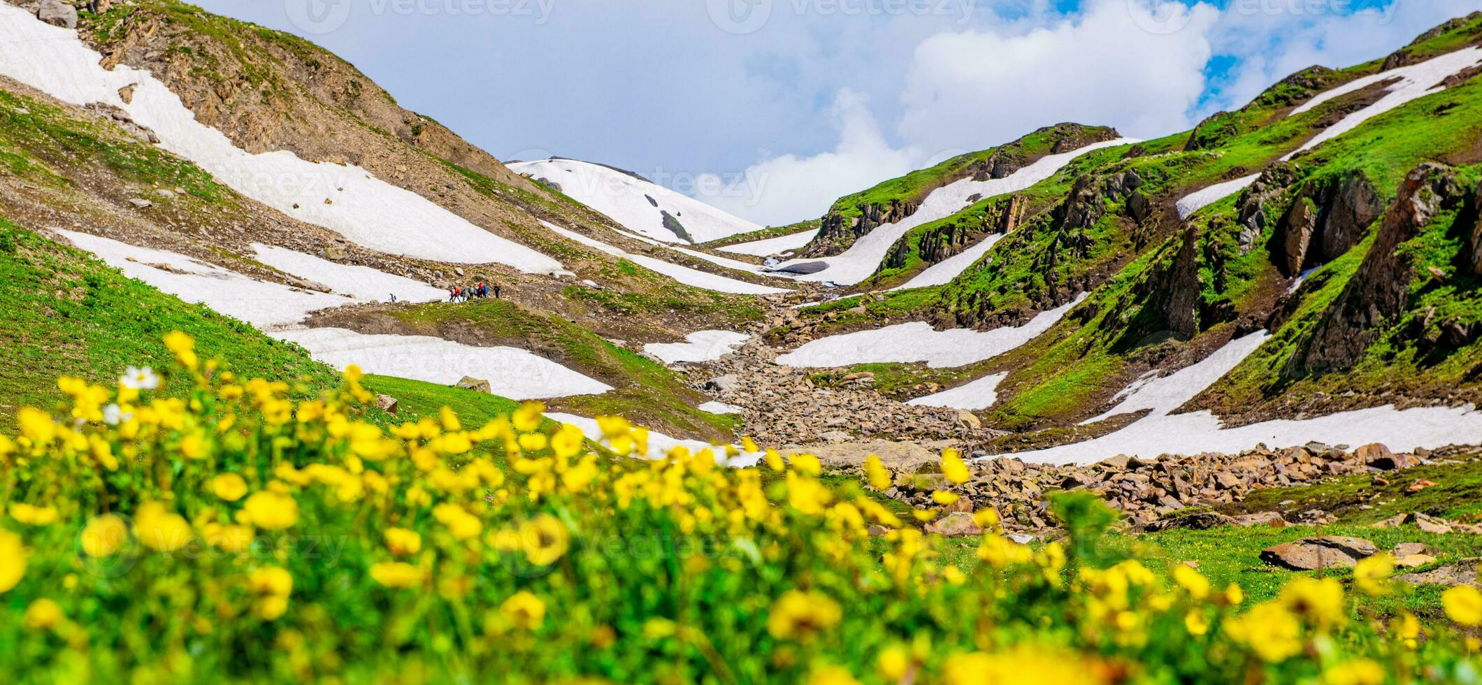 Landscape in the mountains. Panoramic view from the top of Sonmarg, Kashmir valley in the Himalayan region. meadows, alpine trees, wildflowers and snow on mountain in india. Concept travel nature. photo