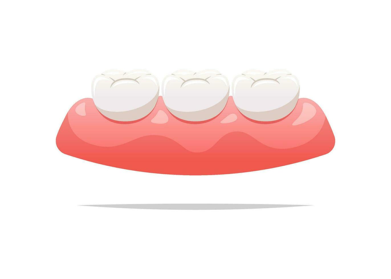 Healthy teeth and gums. Dental health concept. Vector illustration.