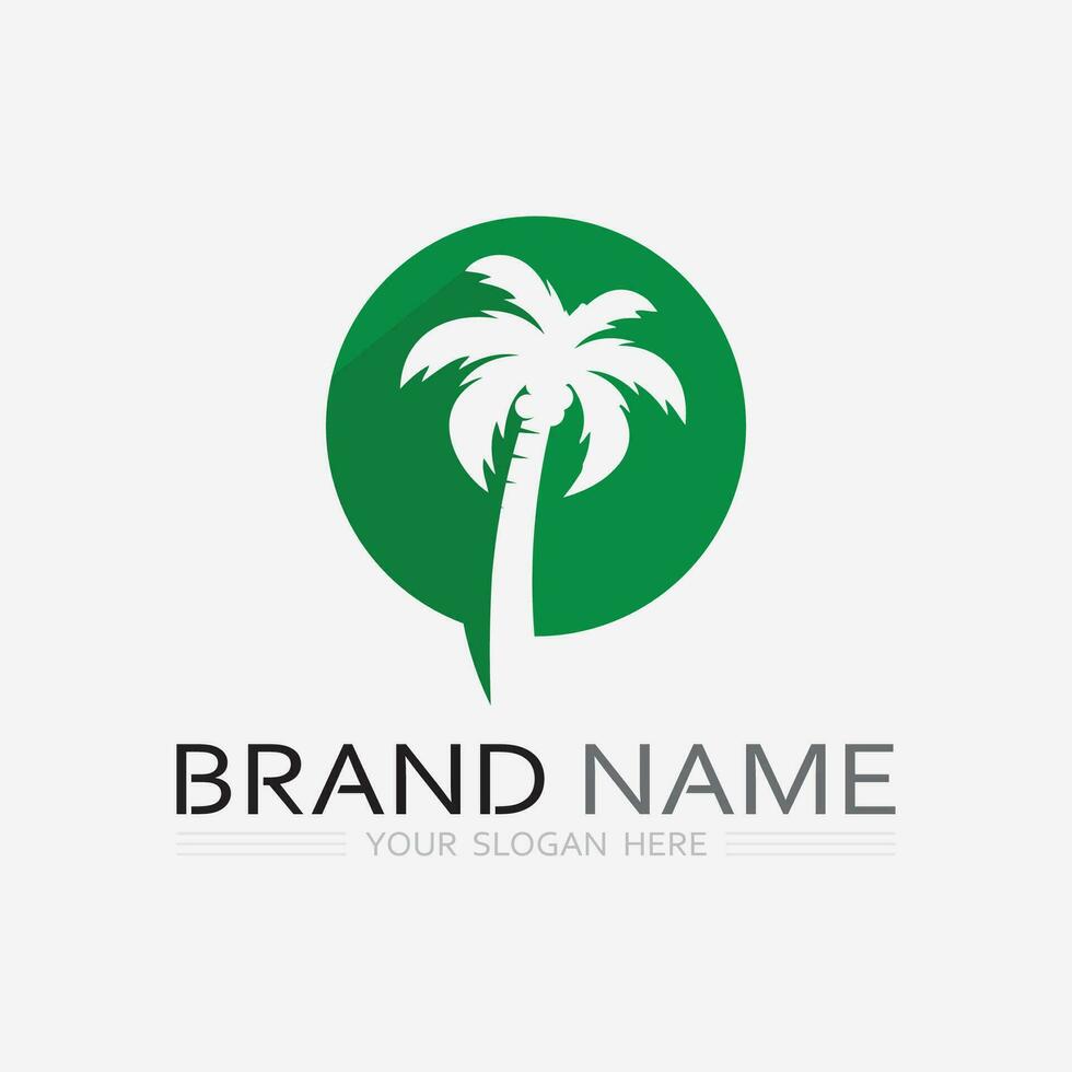 Palm tree summer logo template vector